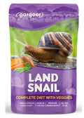 Land Snail