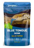 Blue Tongue Skink