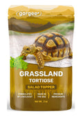 Grassland Tortoises