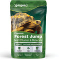 Forest Tortoises